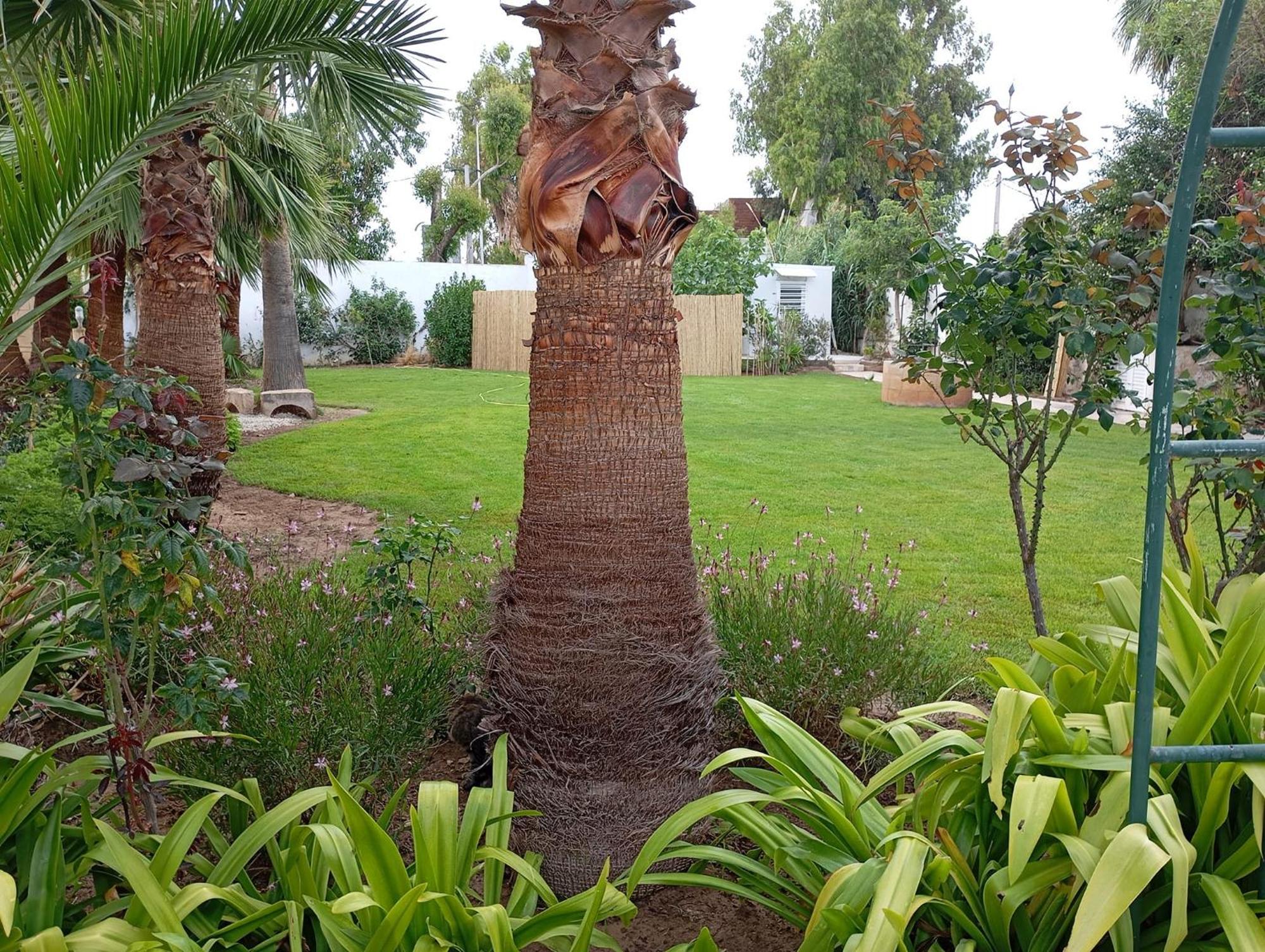 Au Bout Du Jardin Carthage Exterior foto