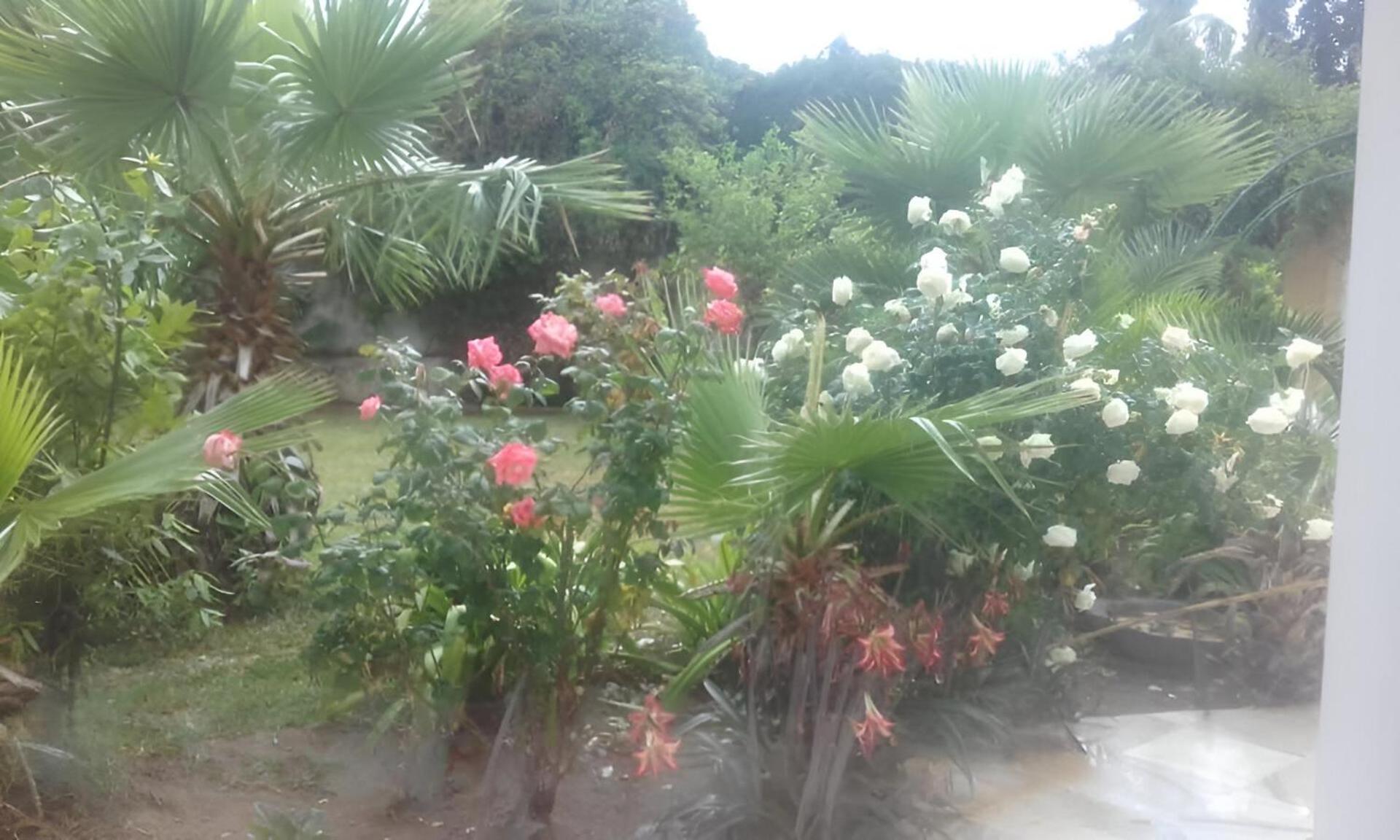 Au Bout Du Jardin Carthage Exterior foto